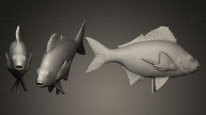 Статуэтки животных (Серебряная рыба, STKJ_0436) 3D модель для ЧПУ станка